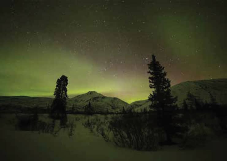 Northern Lights of Aurora Village