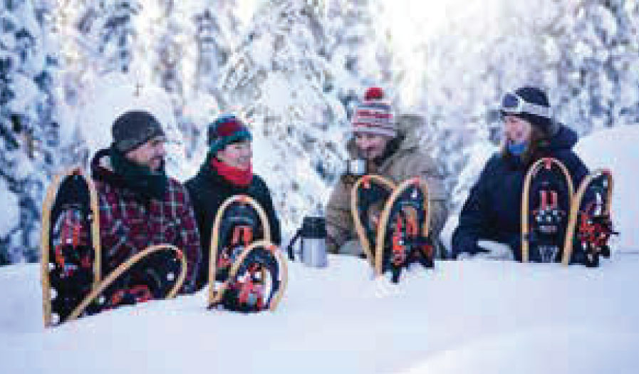 Aurora Klondike Experience
