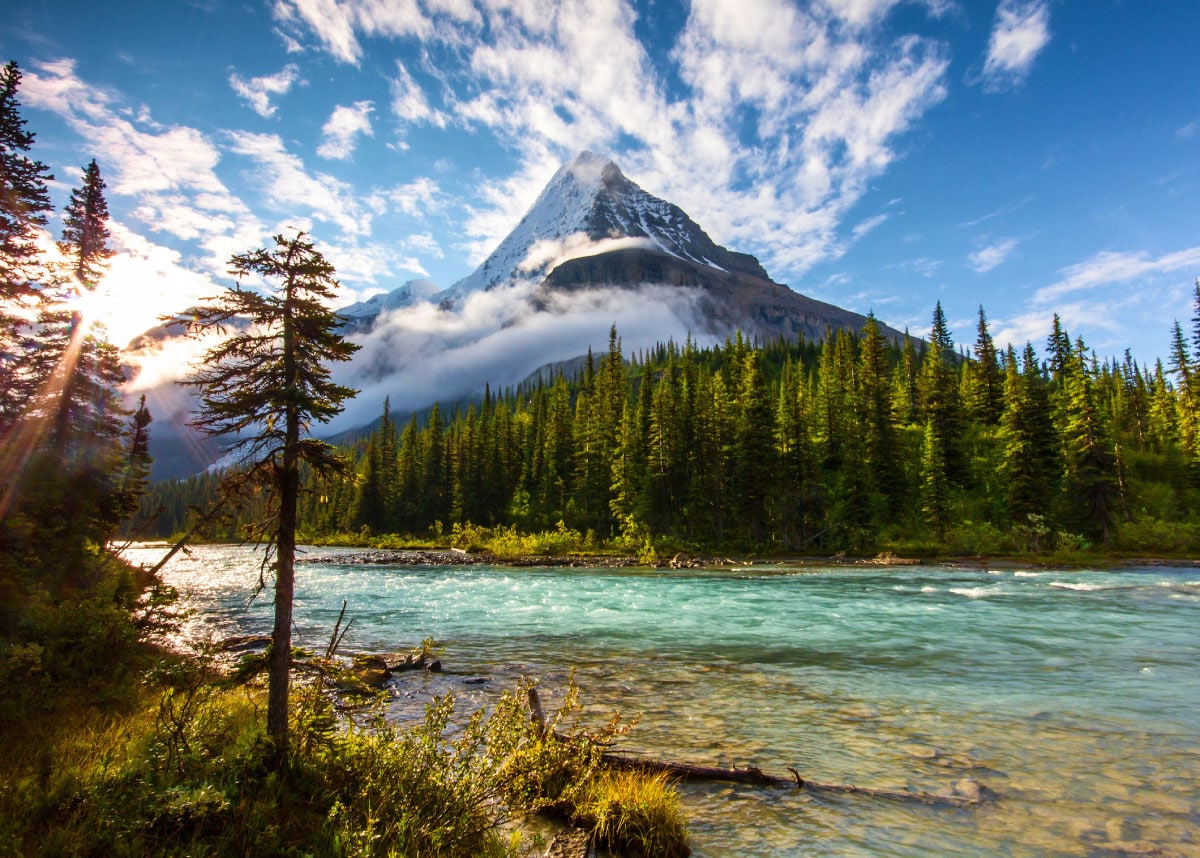 Mount Robson