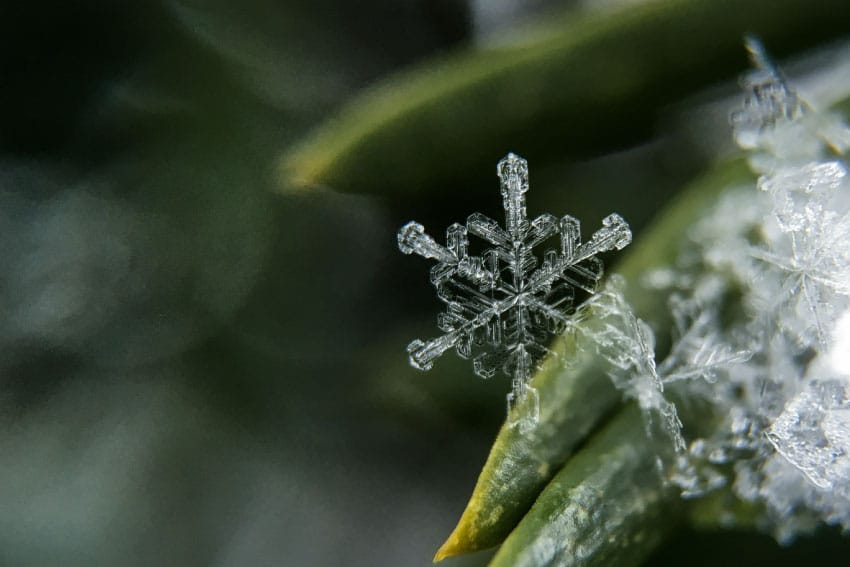 Copos de nieve