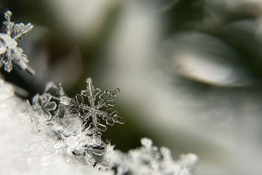 Copos de nieve: ciencia y leyenda