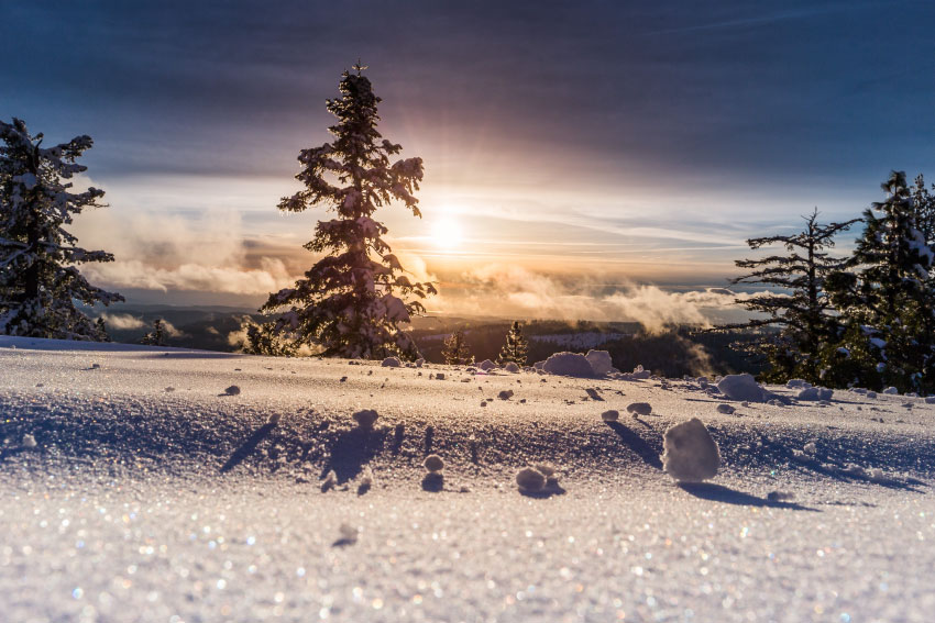 Cultura de nieve: la nieve me da vida