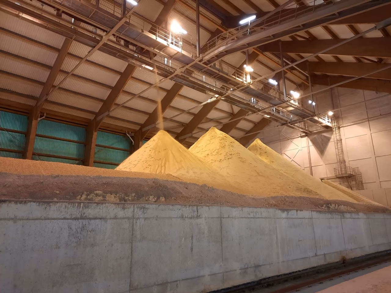 Large industrial warehouse with three yellow powdery material piles under metal roof and overhead conveyor system.