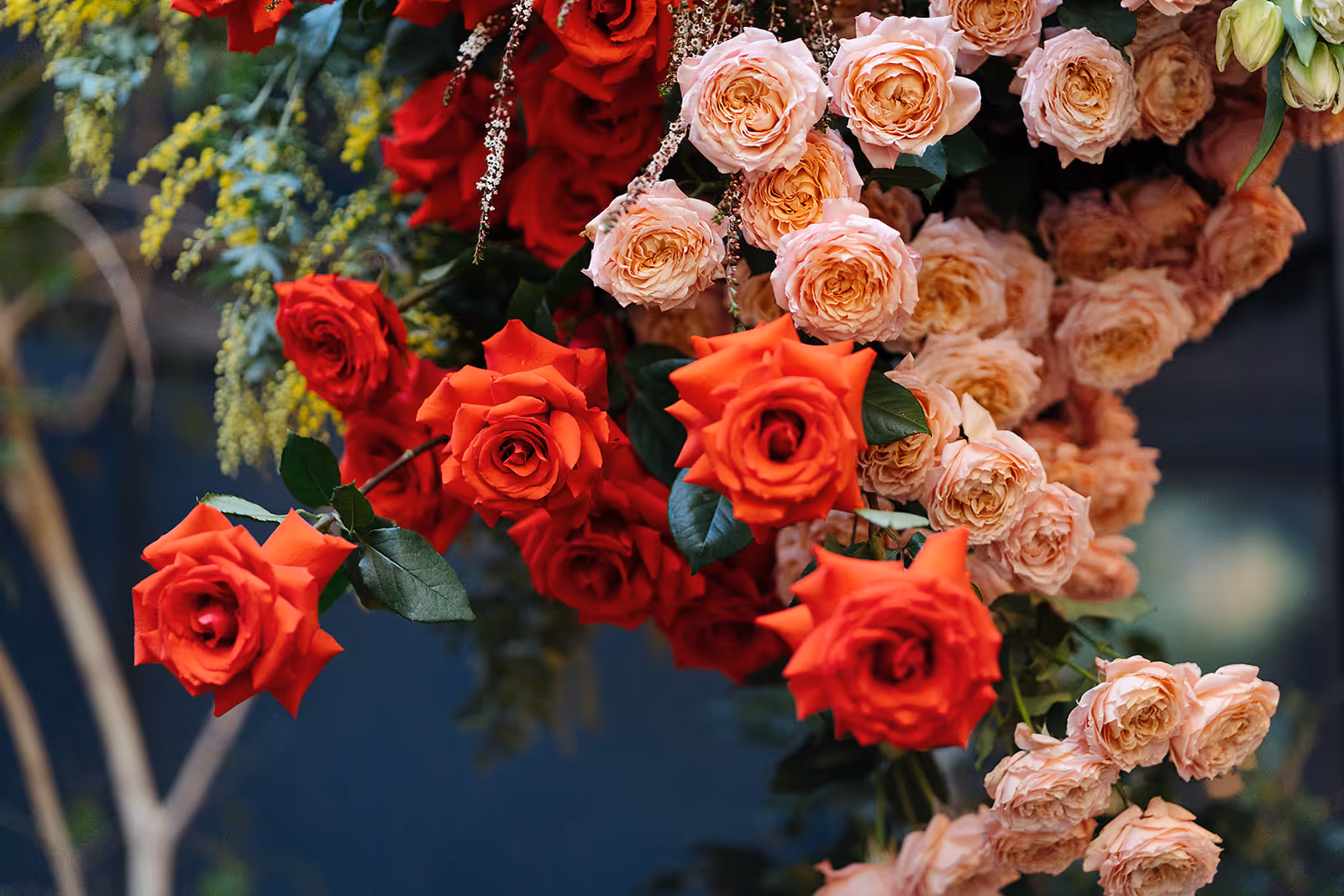 Steph and Rhys wedding florals photographed by Ashleigh Haase, styled by Ripple Studio [VERIFY]