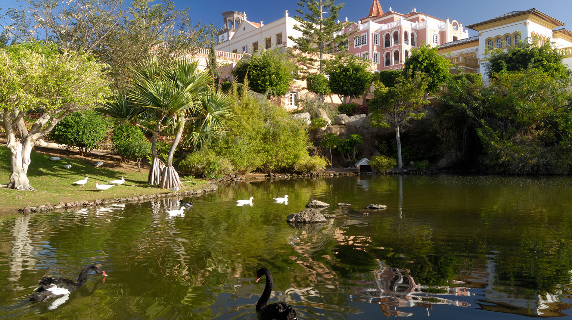 Bahia del Duque