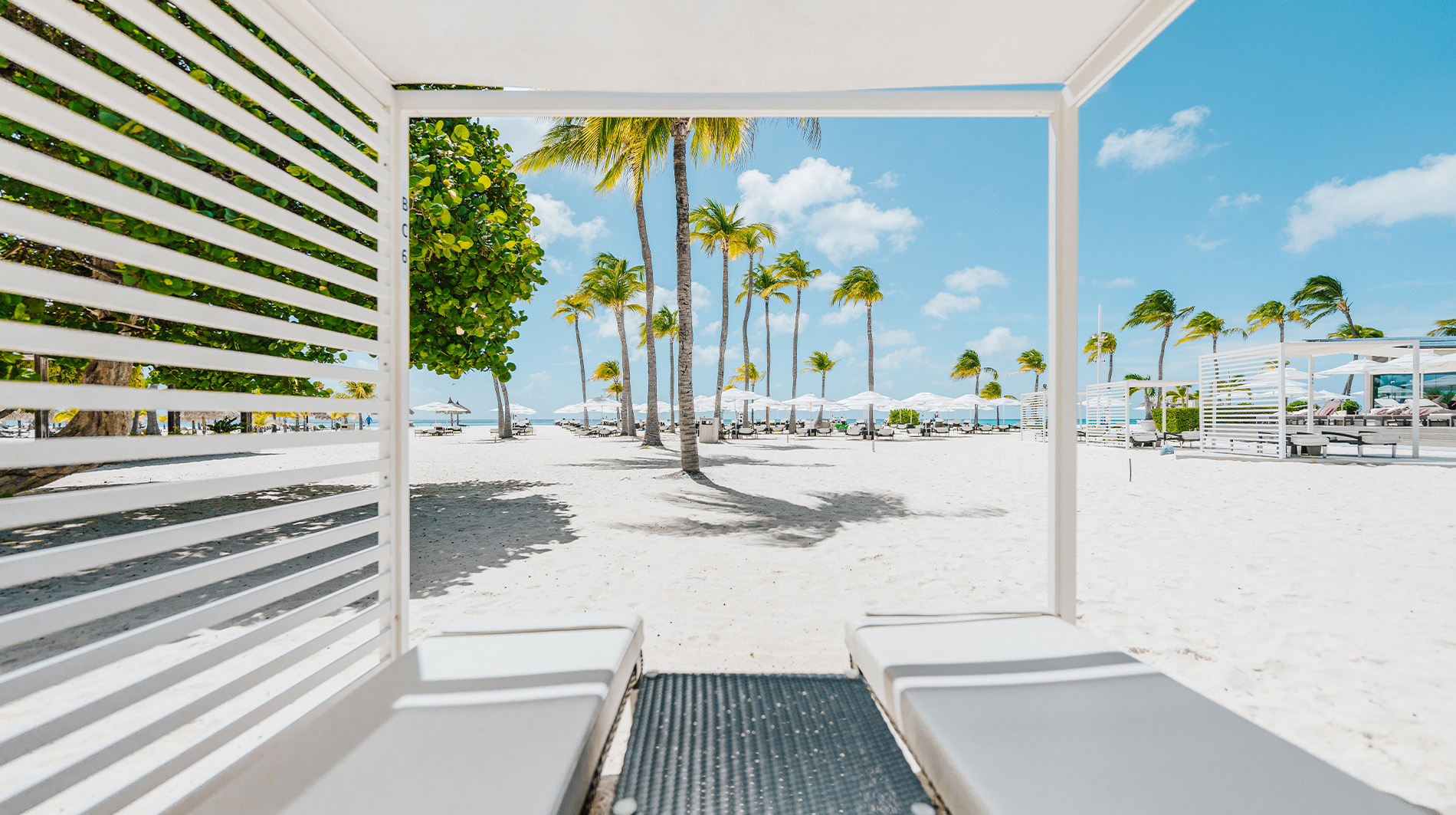 Bucuti & Tara Beach Resort, Aruba