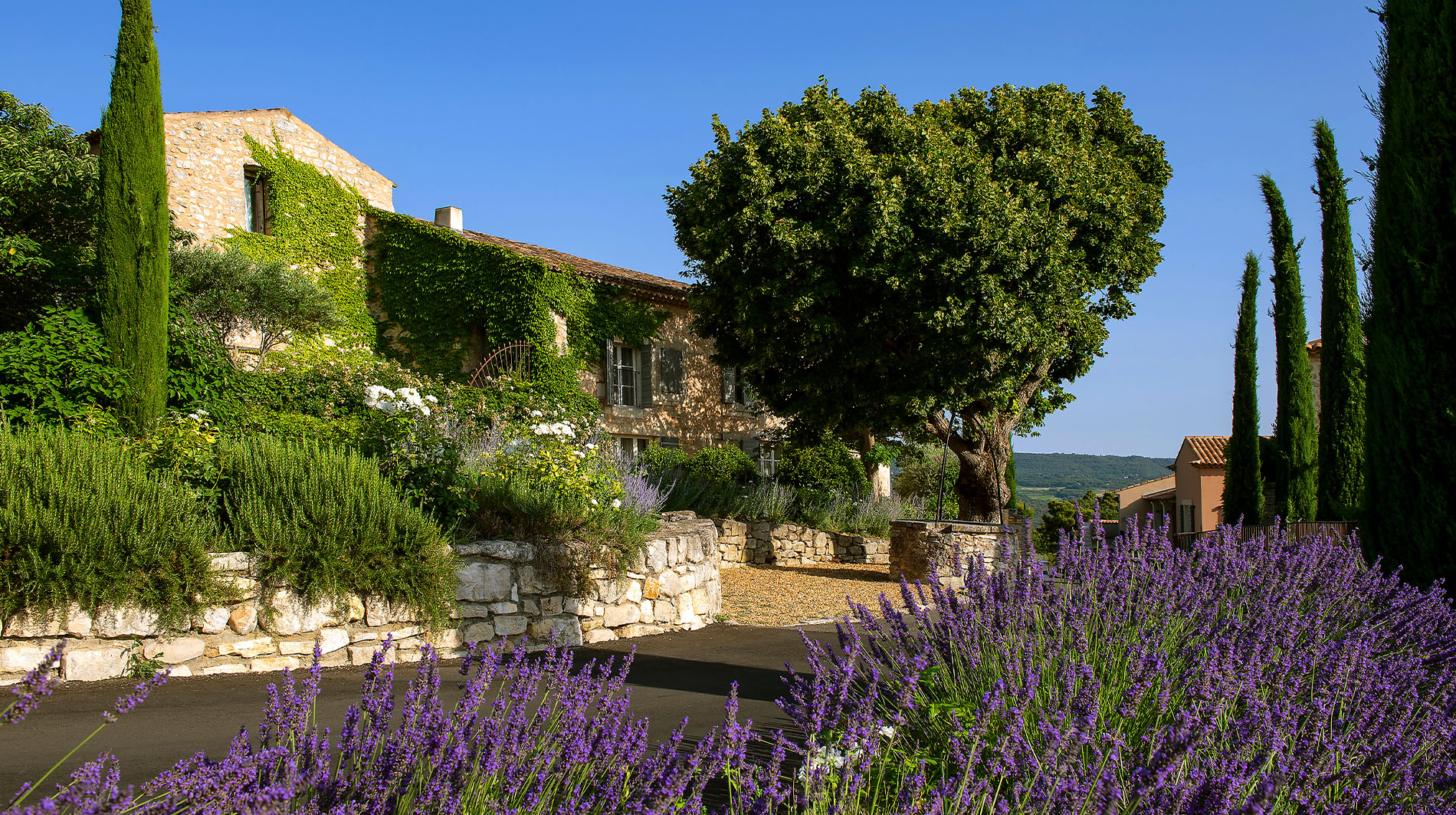 Coquillade Provence
