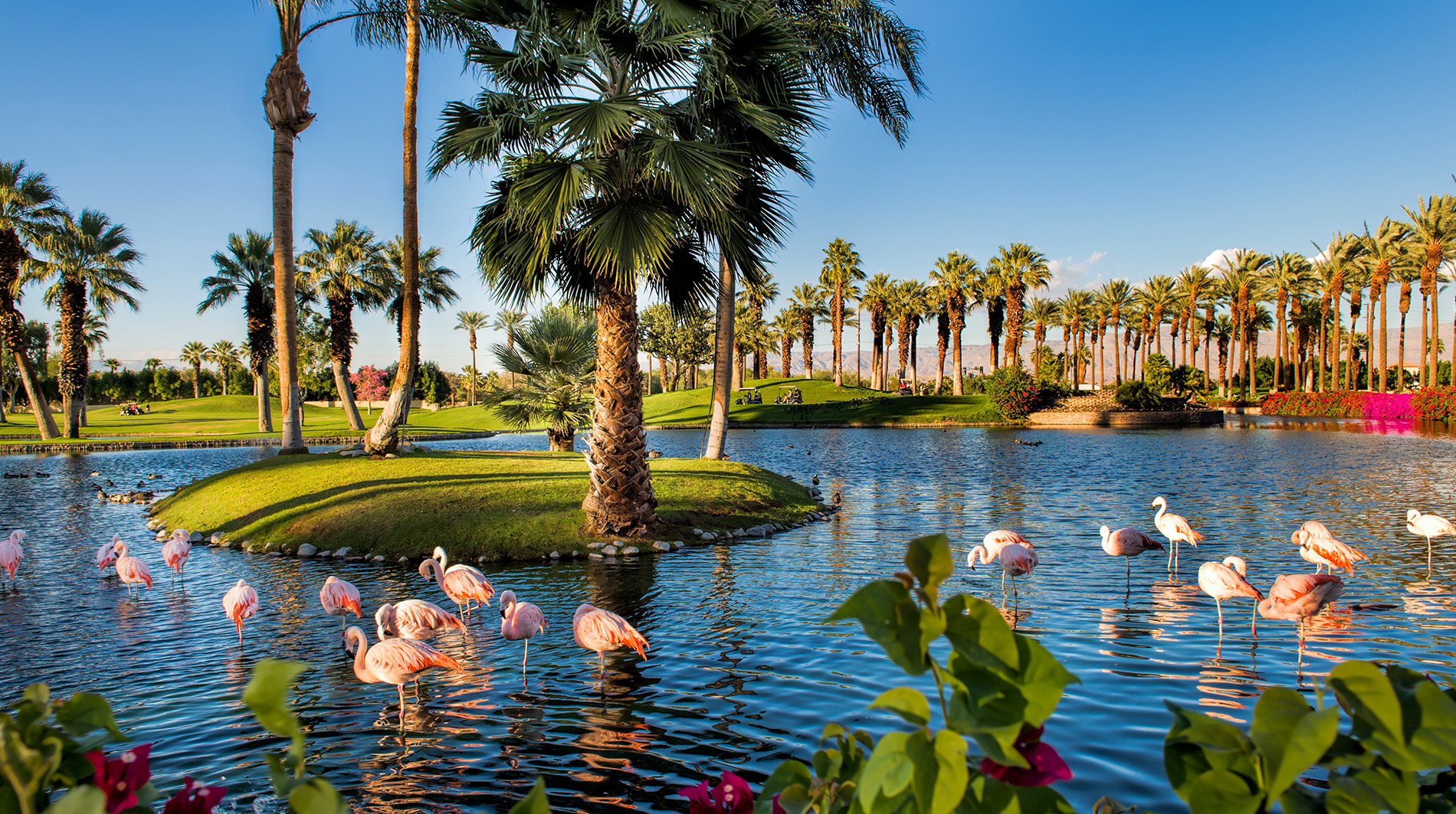 JW Marriott Desert Springs Resort & Spa