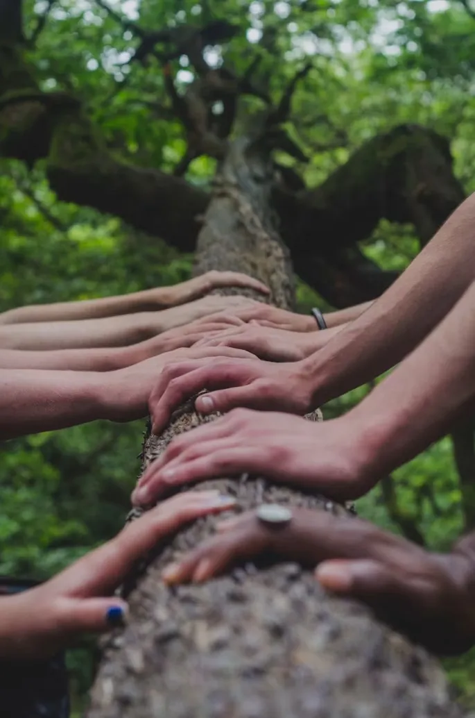 Hands of diverse people touching a tree trunk in a forest, symbolizing unity and nature connection.