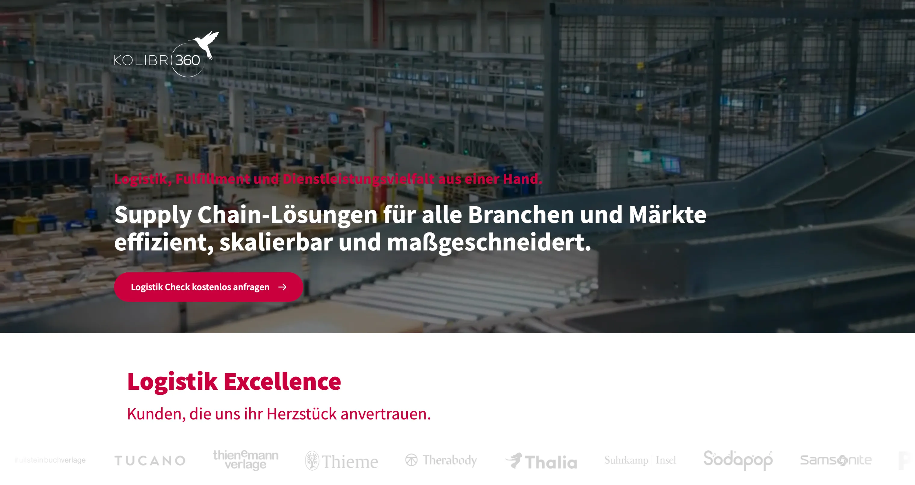 Großes Logistik- und Fulfillment-Lager mit Förderbändern und Regalen voller Pakete und Kartons.