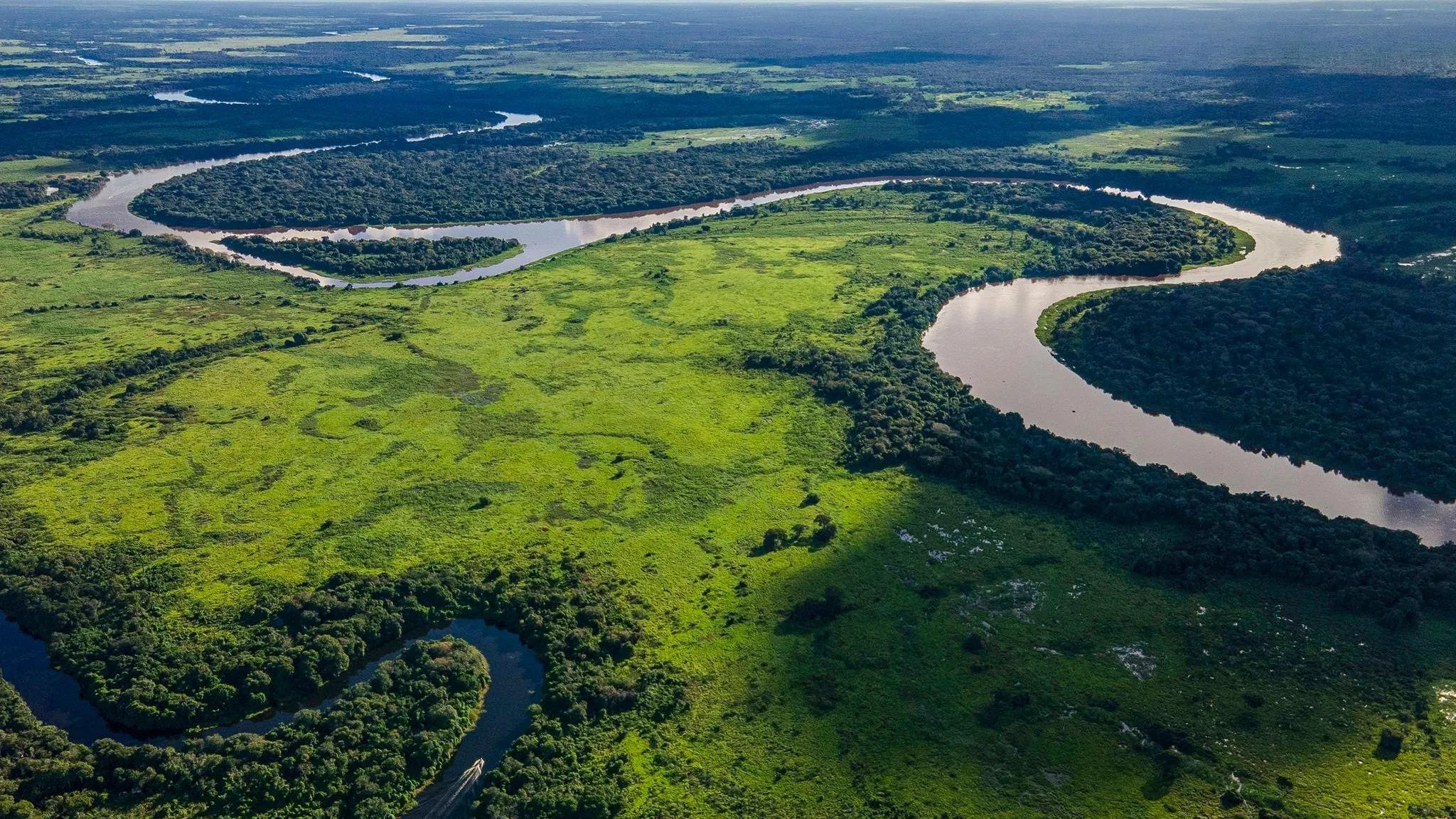 Amazon river