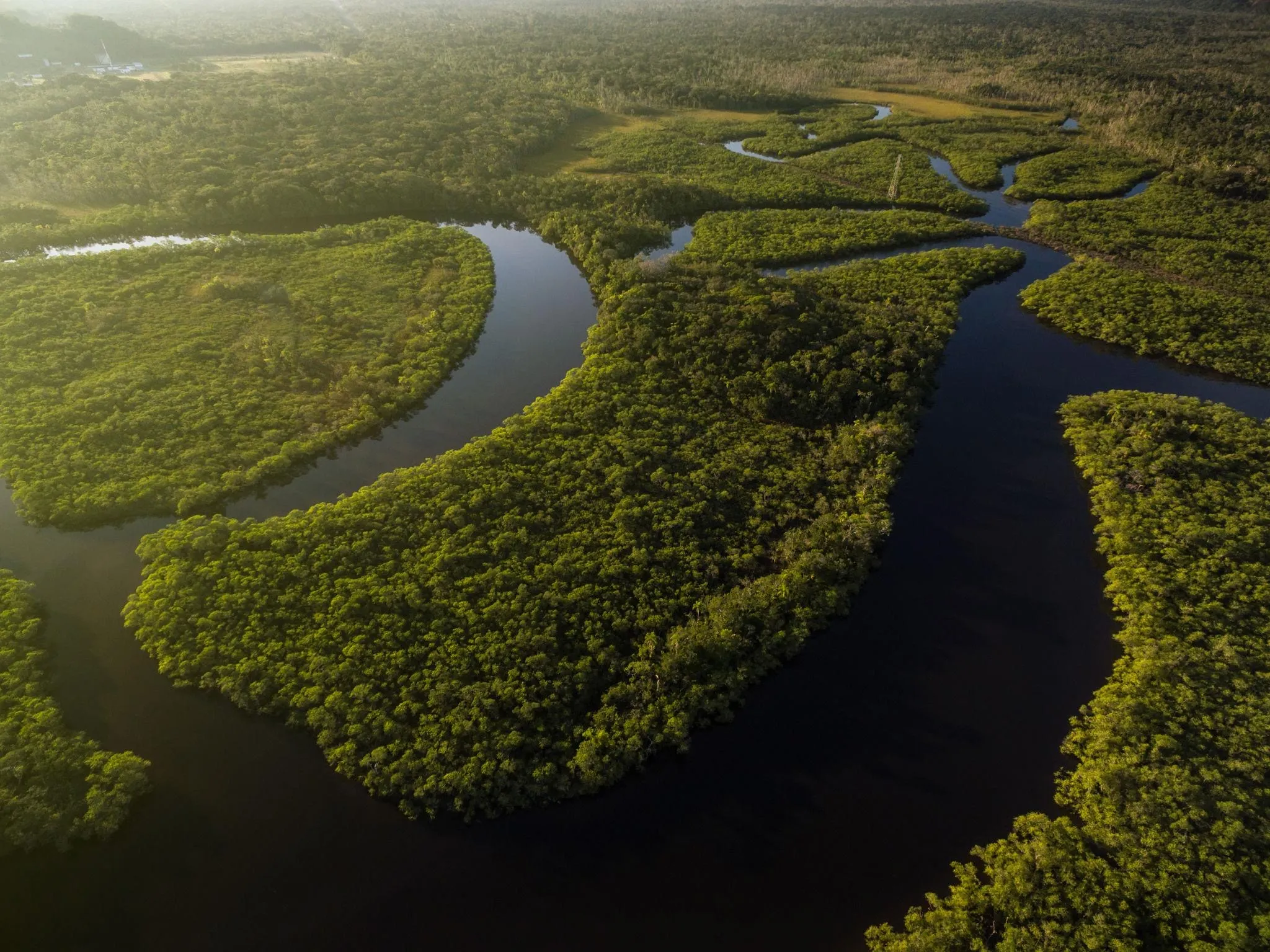 Amazon river