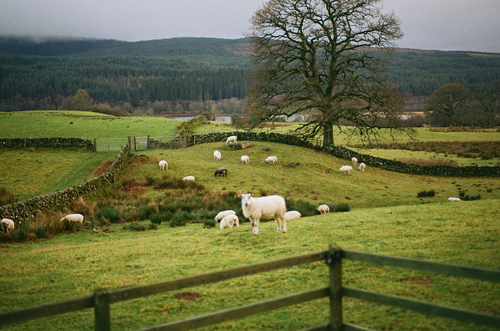 Historic Dumfries and Galloway