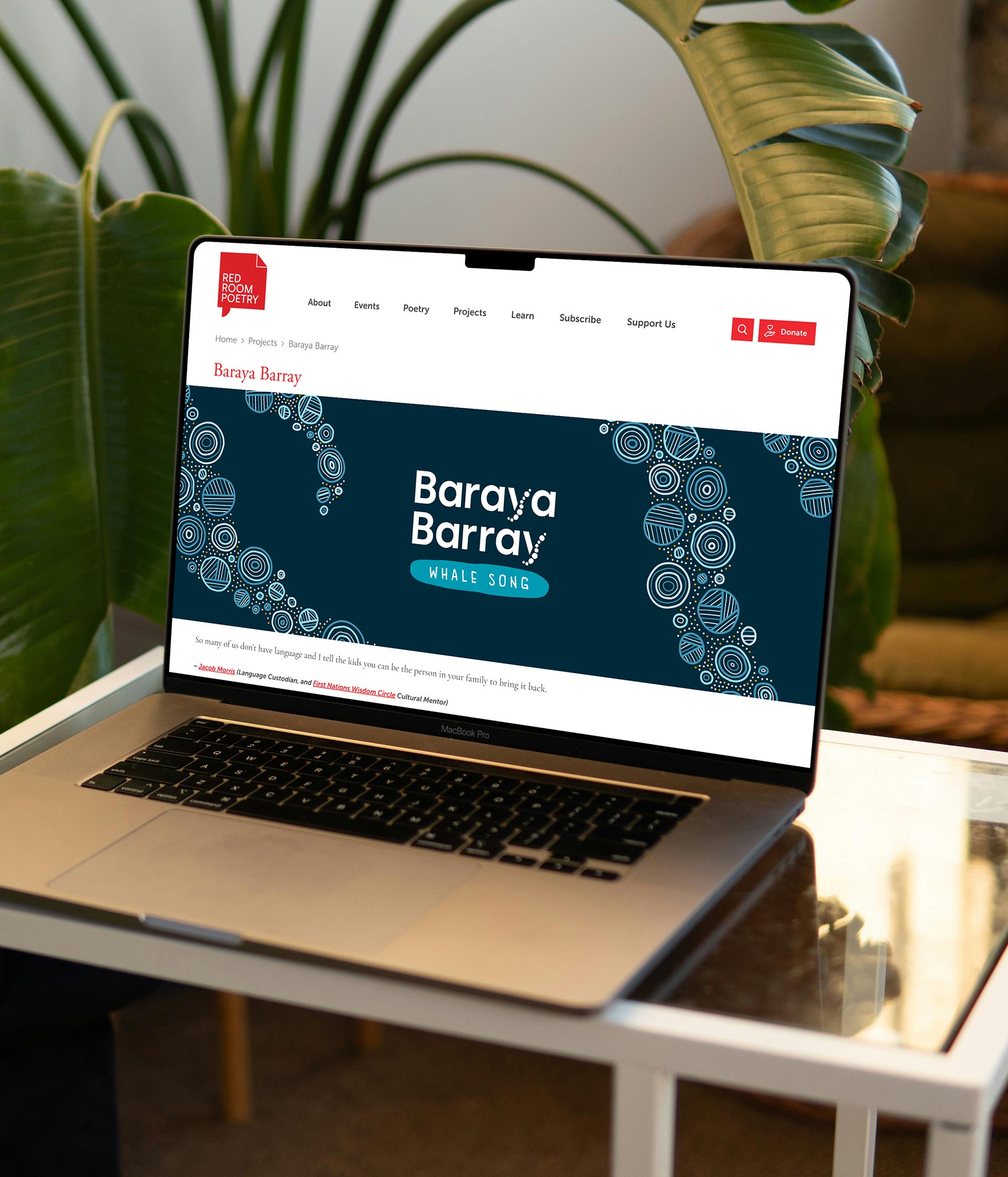 The Baraya Barray website shown on a laptop