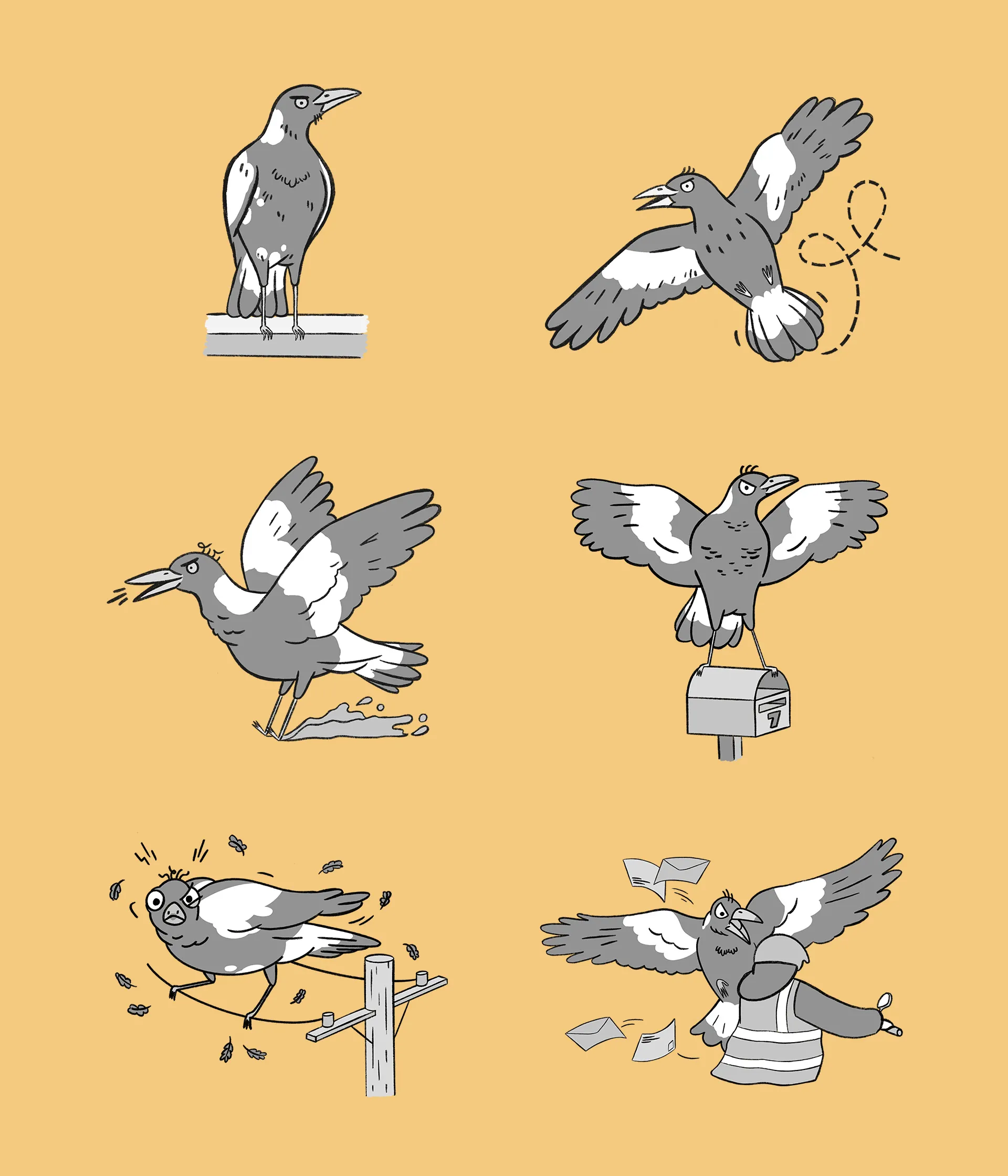 Swoopy Season magpie character design sketches
