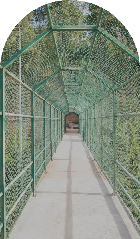 Walkway through a green net tunnel structure