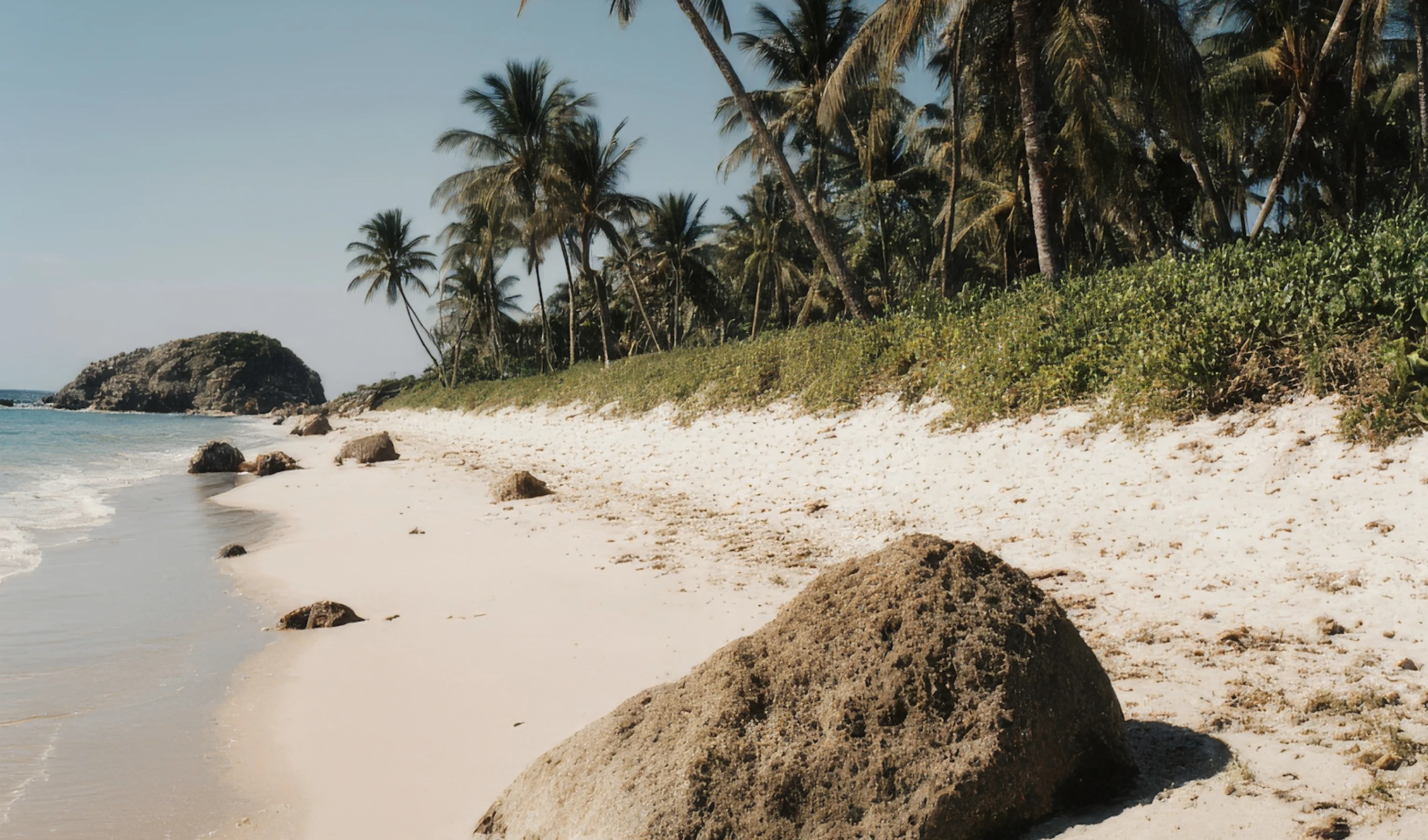 Blog Banner