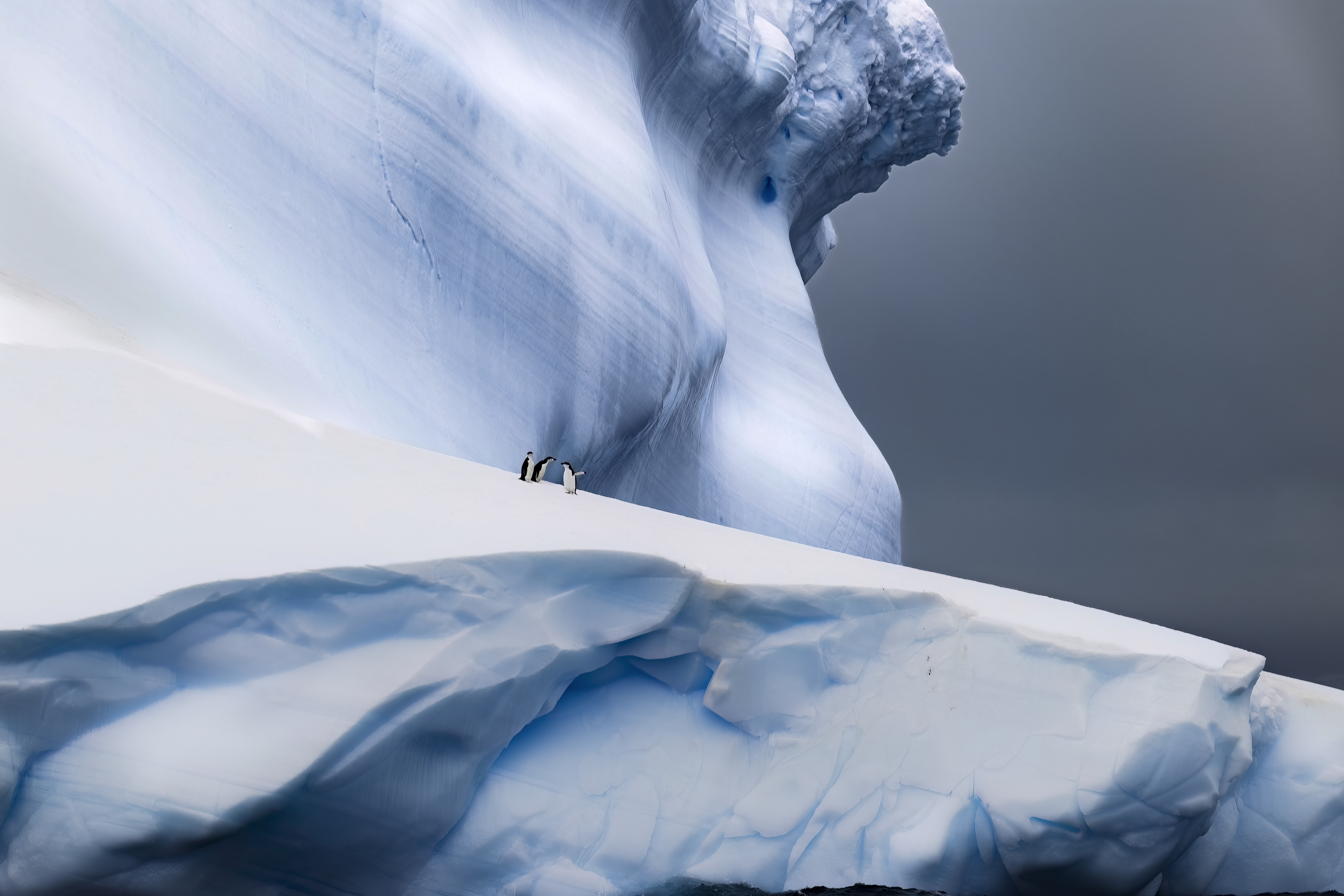Tree tiny chinstrap penguins standing at the foot of a vast blue and white iceberg wall towering over them