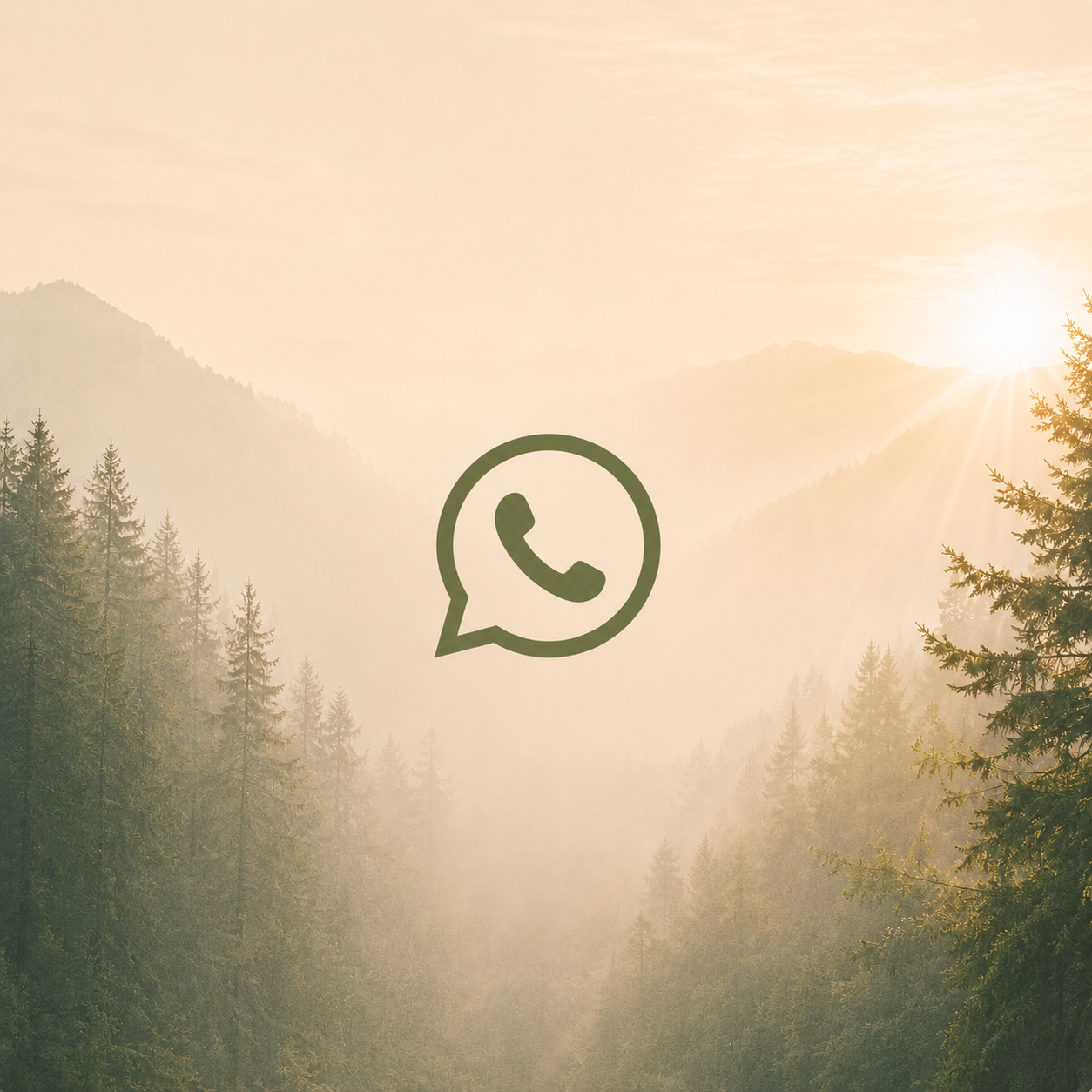 WhatsApp channel handle with visual asset