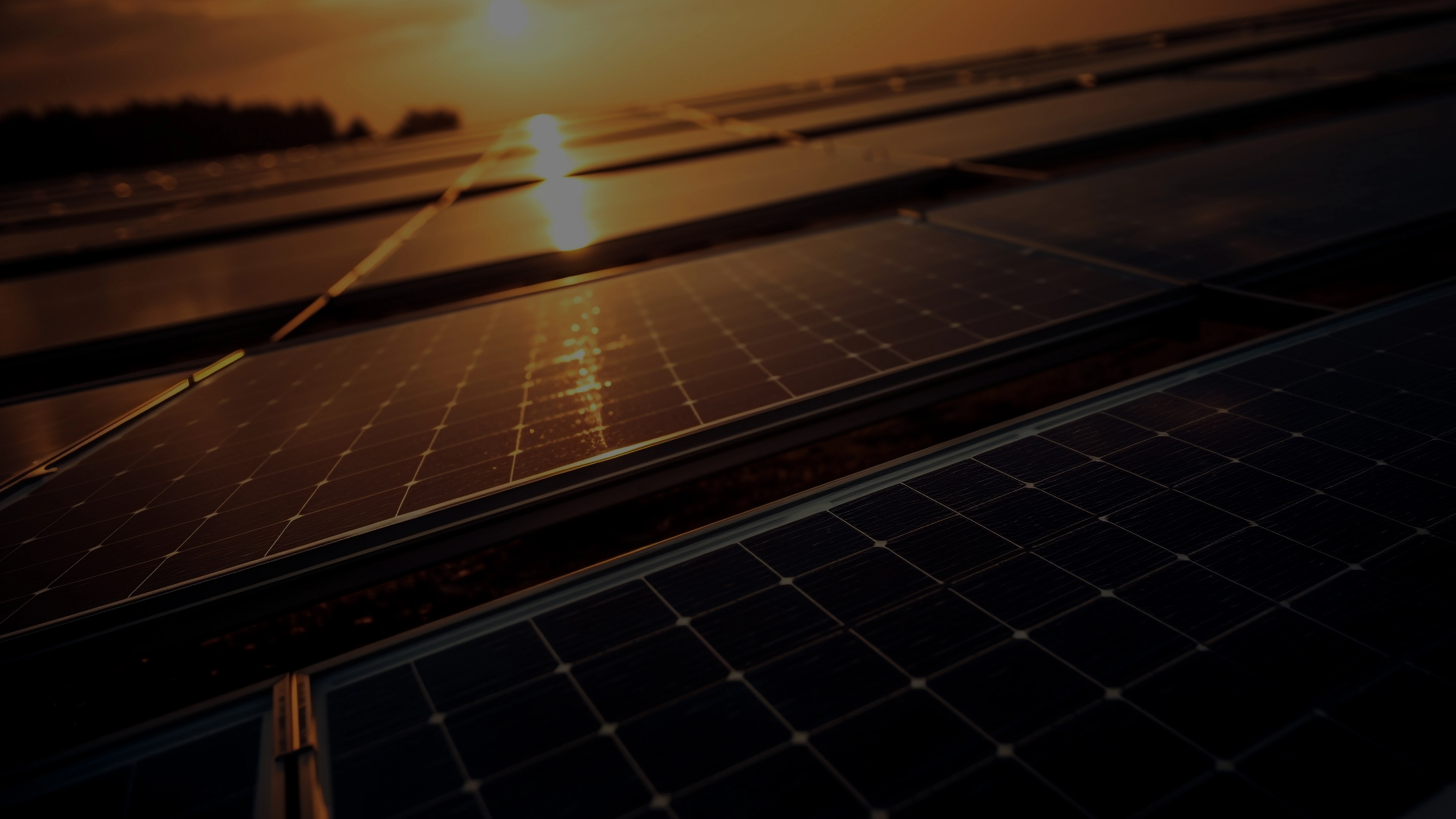 Paneles solares