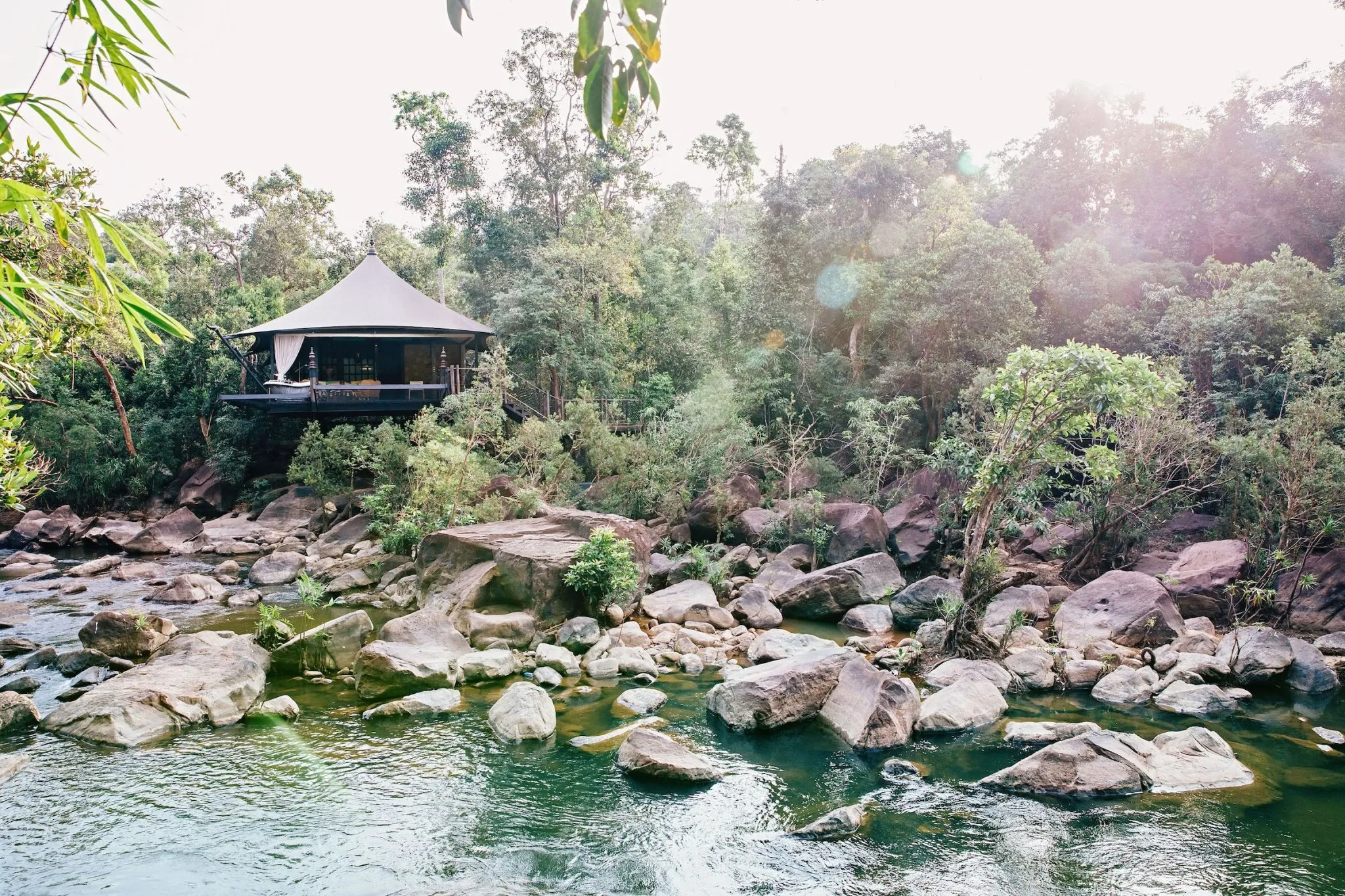 A river and forested banks in the Cardamom Rainforest