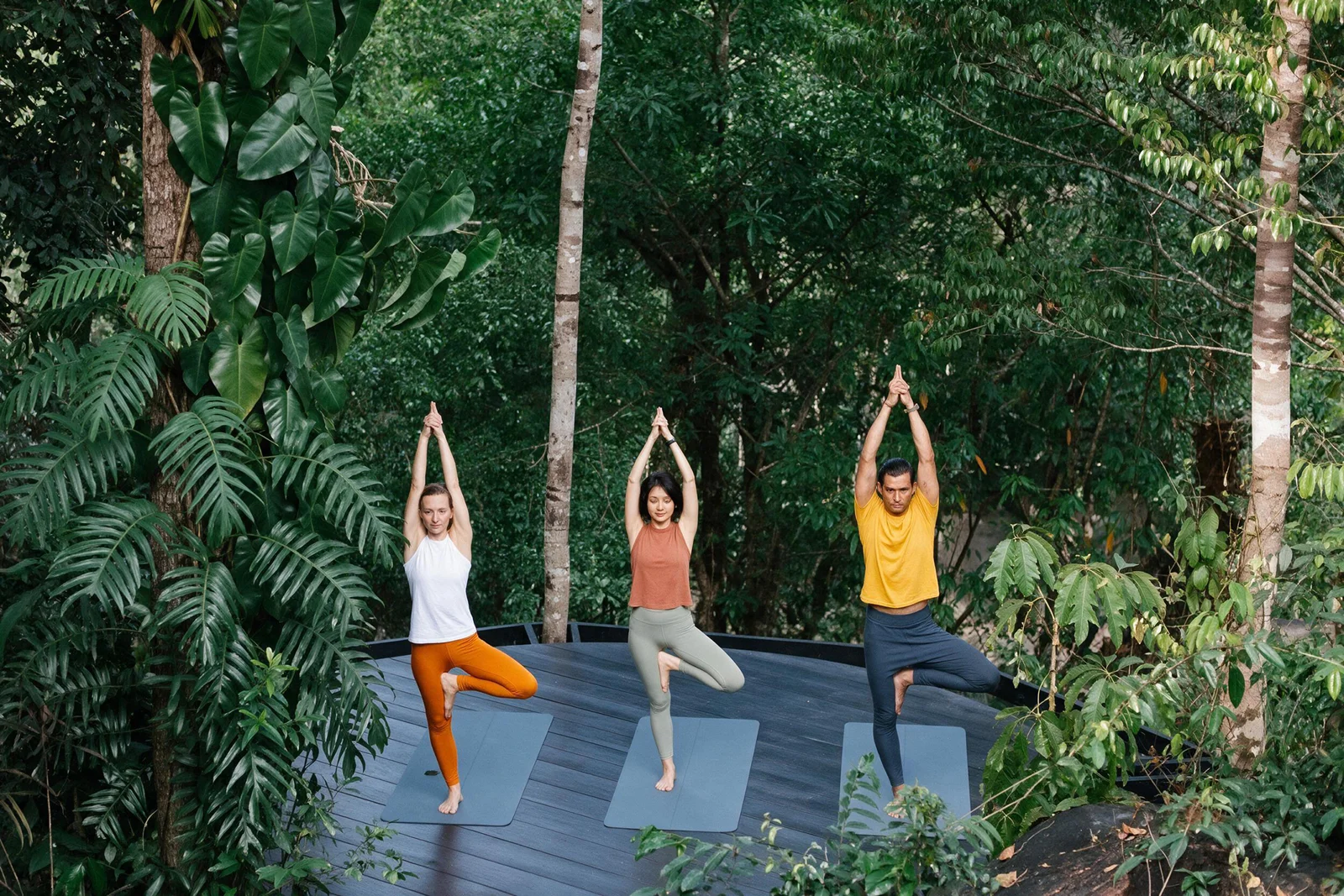 Guests practising yoga on a deck surrounded by forest