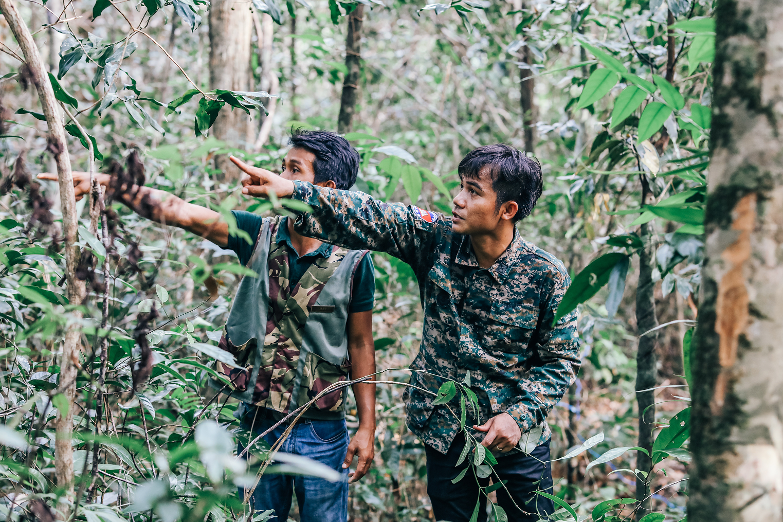 Wildlife and rangers in the Cardamom Rainforest
