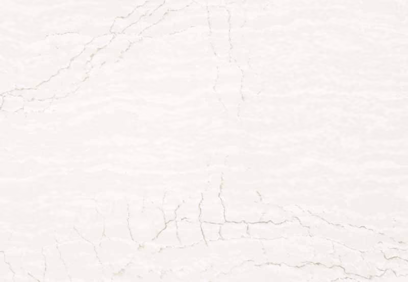 Delgatie Cambria quartz design at The Cabinet Store showroom in Apple Valley, Minnesota