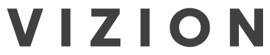 Vizion brand logo text in dark gray capital letters on white background