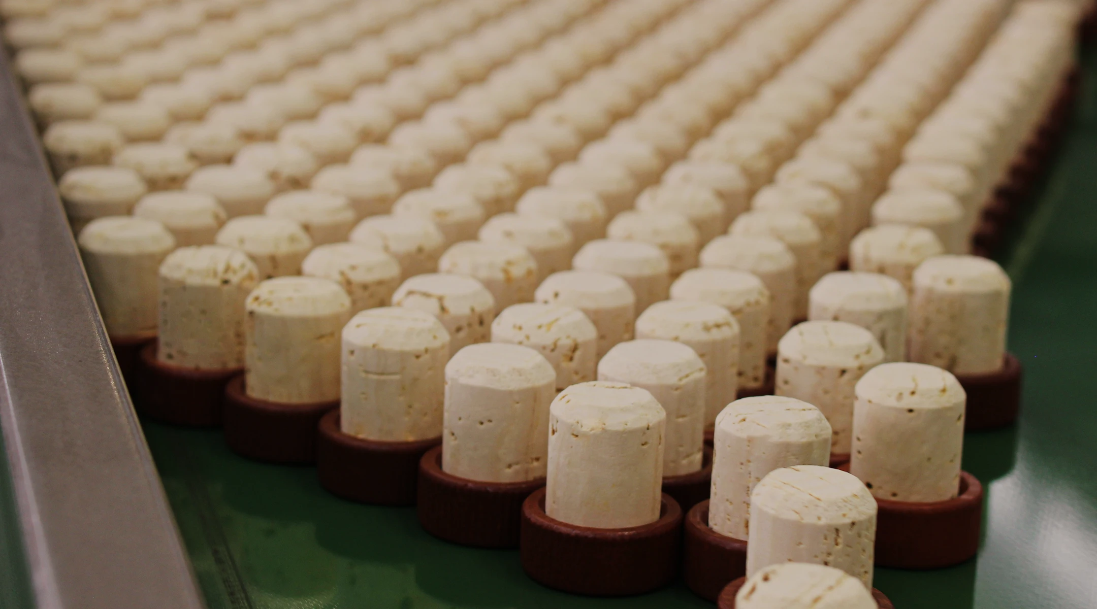 Rows of natural cork stoppers with brown plastic caps aligned on a green surface