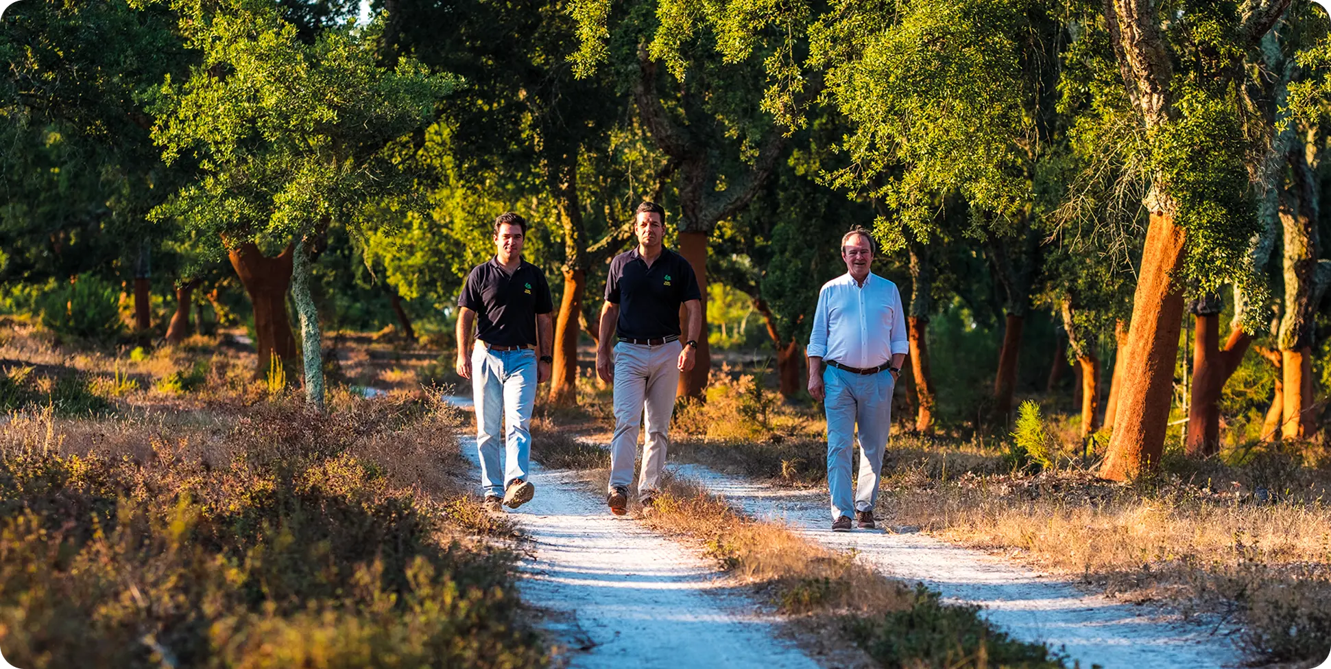 Three men walking on a dirt path in a forested area of cork trees with sunlight filtering through green trees with brown trunks.