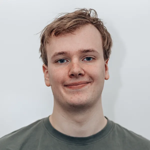Vincent van Online Actief