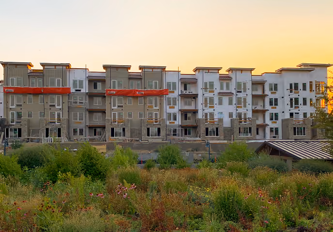 Modern apartment complex under construction behind a field of wildflowers and green shrubs at sunset.