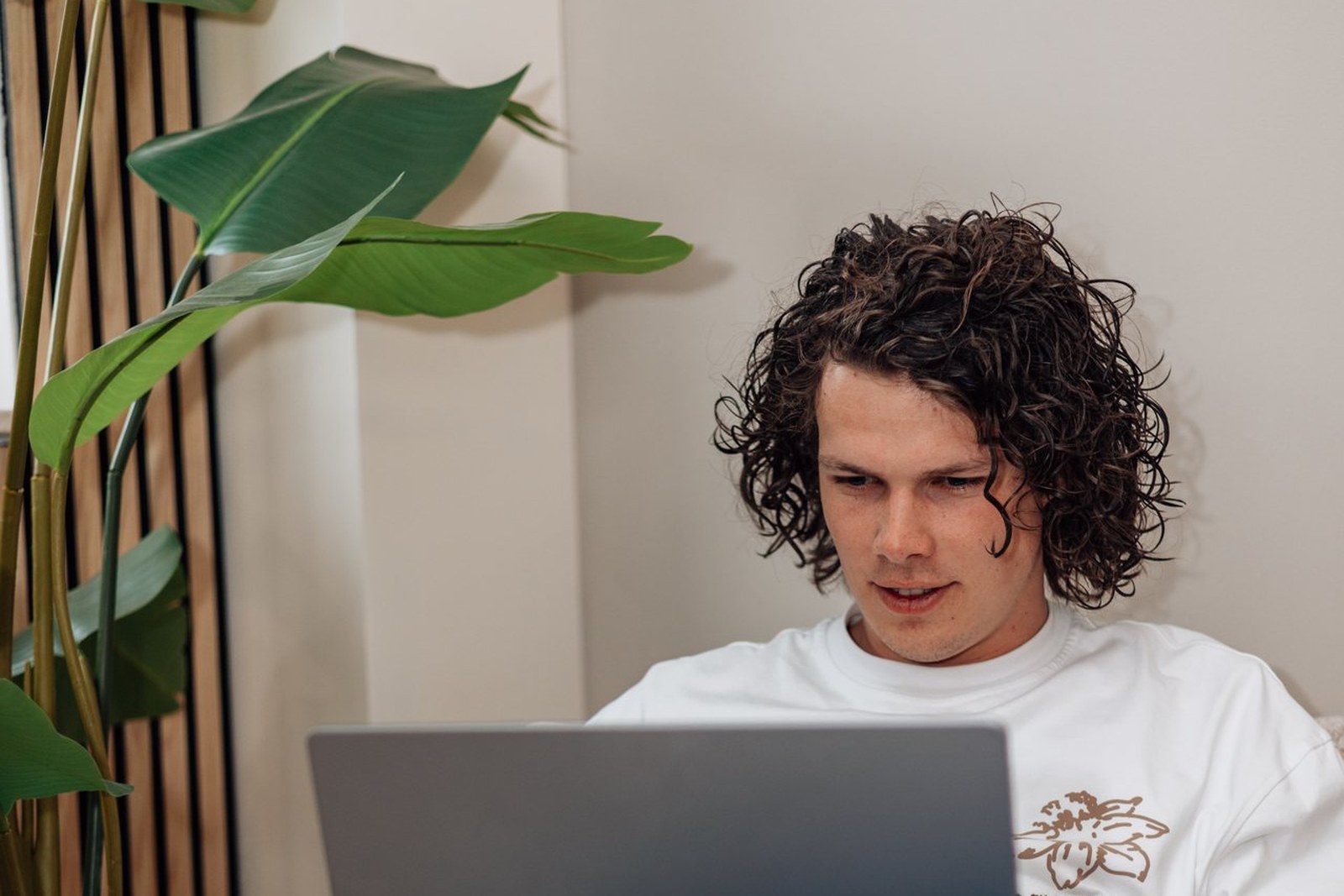 Jonge man werkt ontspannen op laptop op een bank naast een grote plant