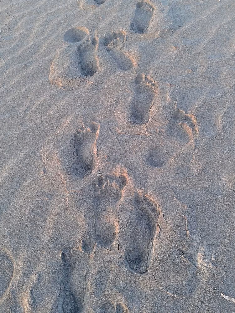 Footprints in the sand