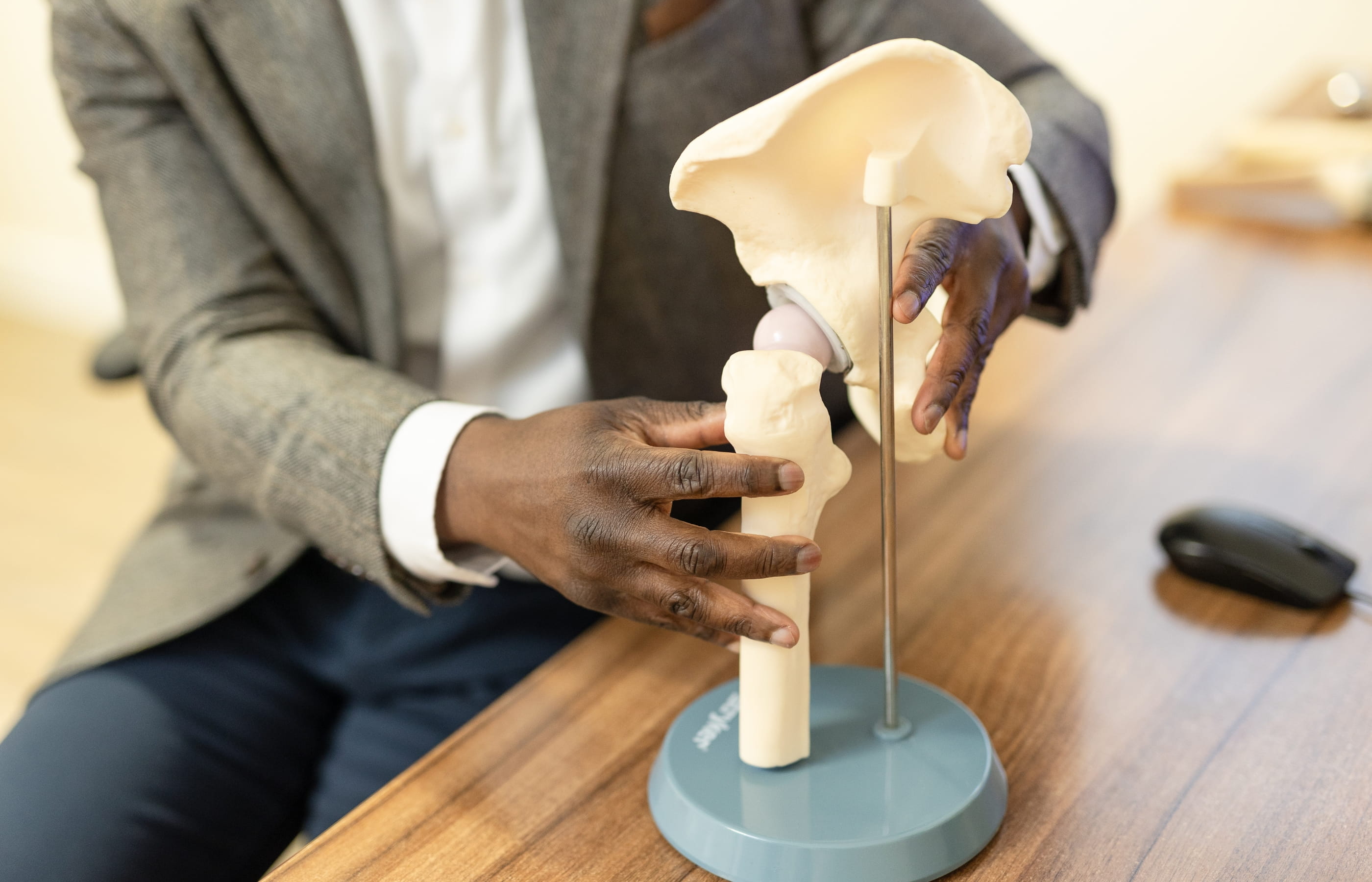Mr Oni holding a model of the hip joint, the ball and socket is visible.