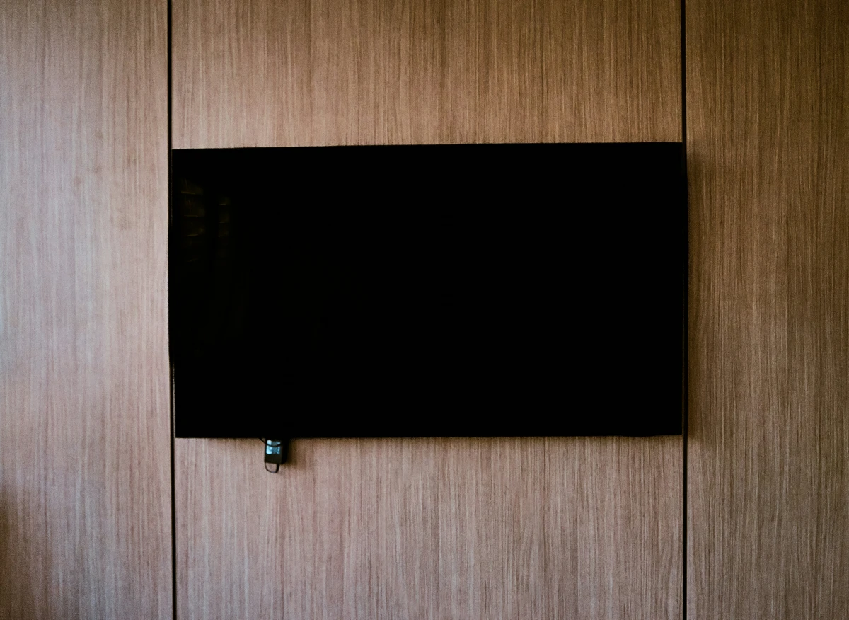 Television