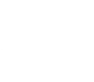 Logo brand project