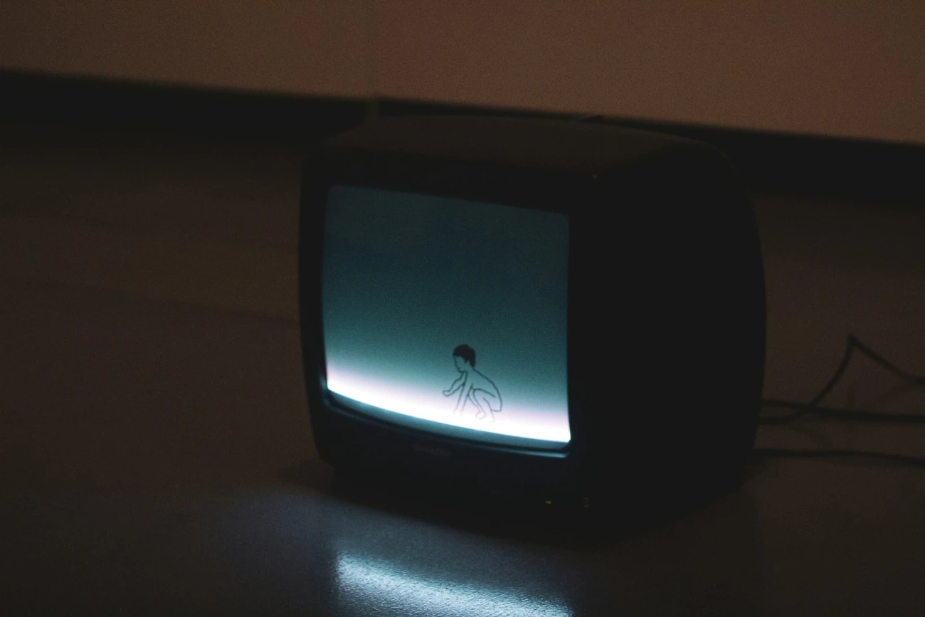 Super mini television