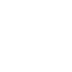 Logo brand project