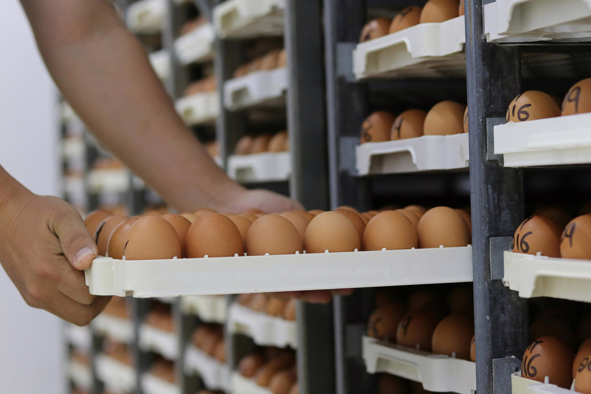 Inventory management for cold storage