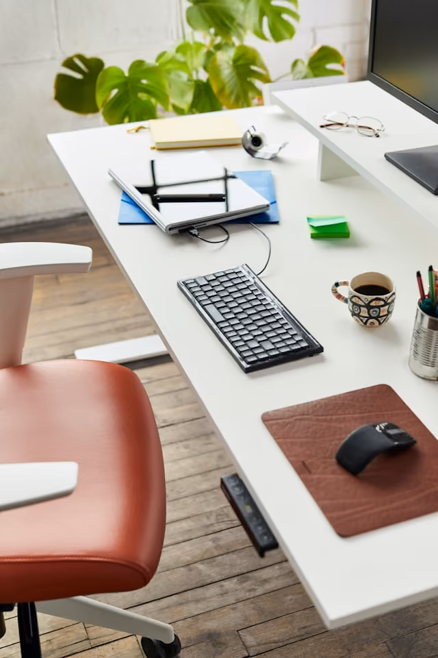 ergonofis