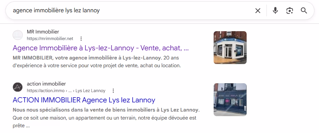Résultat référencement google agence immobilière lys lez lannoy