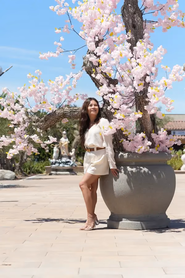 "Cherry Blossoms Ii" — travel photography by Studio Bishop