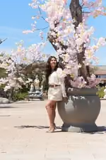 "Cherry Blossoms Ii" preview thumbnail