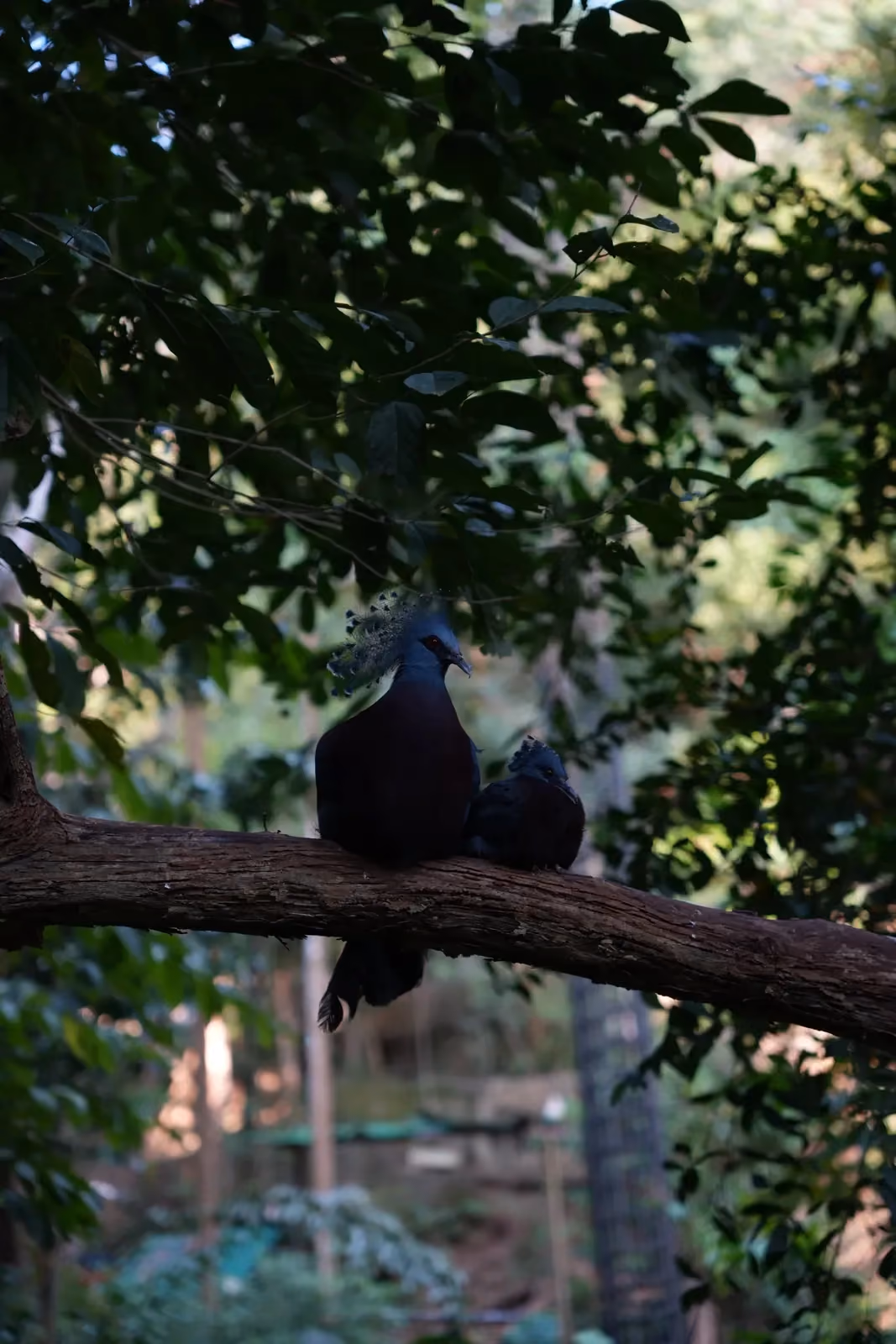 Documentary travel photo by Studio Bishop