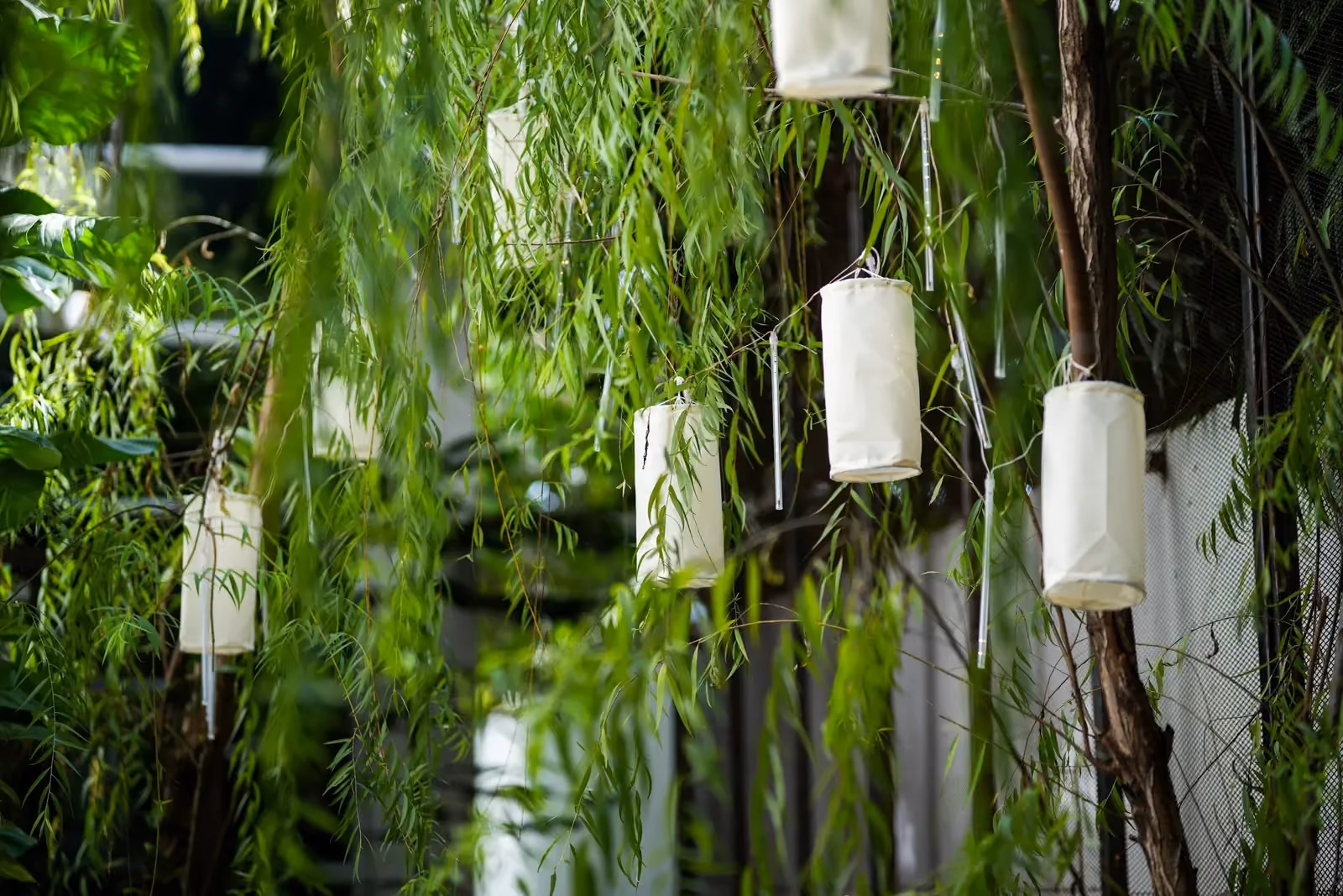 Restaurant and hospitality brand photo by Studio Bishop