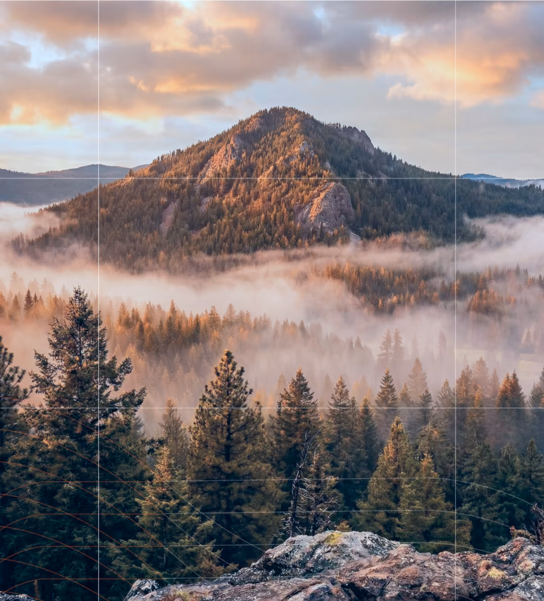 Mountain covered with dense pine forest partially enveloped in mist under a cloudy sky at sunrise or sunset.