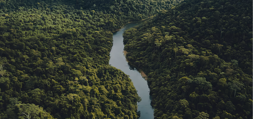 Aerial view of a river winding through dense green rainforest.