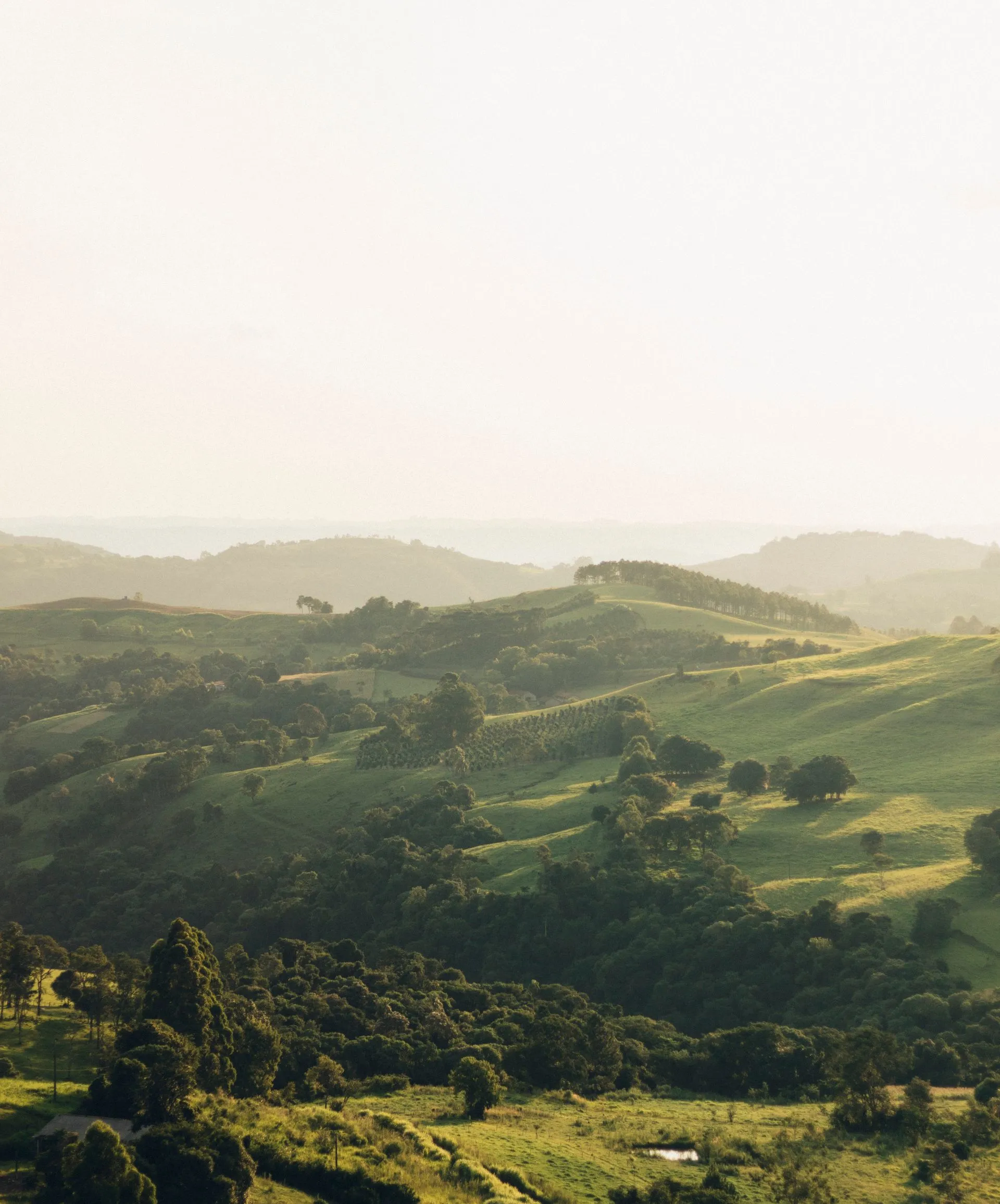 Breathtaking view of verdant rolling hills